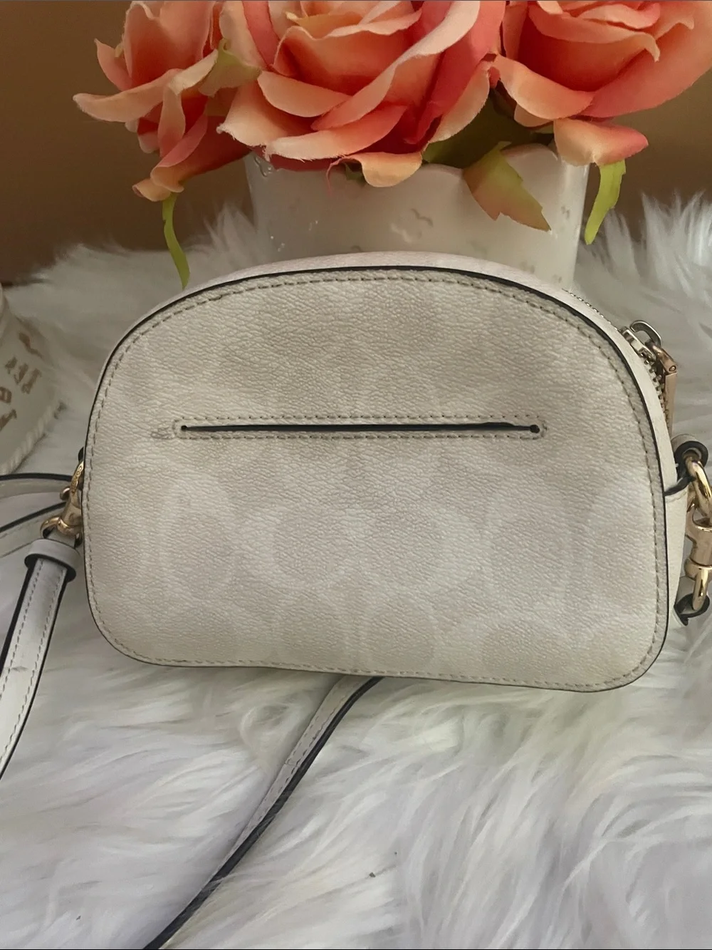 Coach Cream/White Signature Dome Crossbody with Gold Hardware